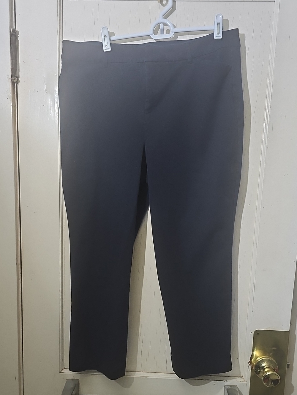 Classic Womens Navy Dress Pants - Sz 16- Pixie High- Rise